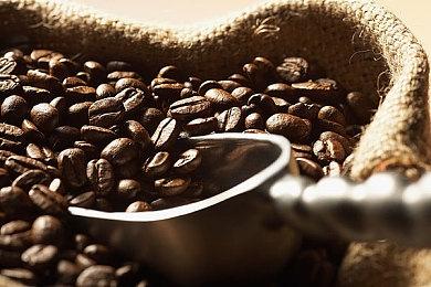 《任天堂明星大乱斗》13.0更新今日上线 索拉正式参战